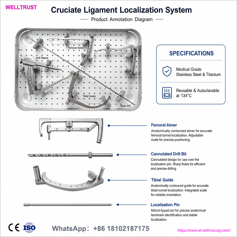 Cruciate Ligament Localization System02