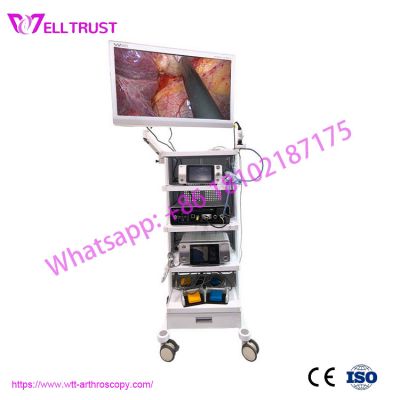 4K UHD Endoscope Camera System
